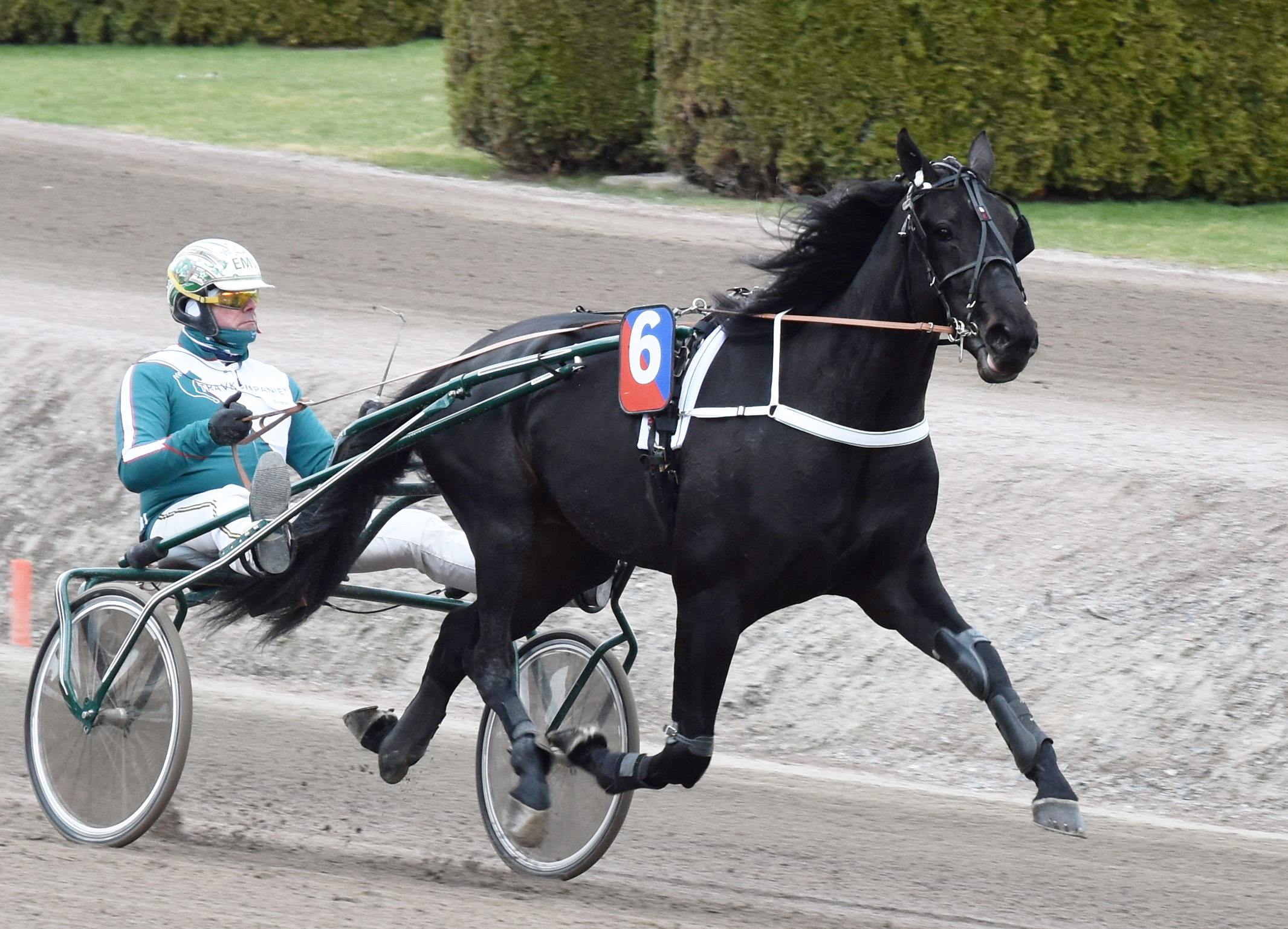 Hitting Hard och Conrad Lugauer från spår sex på Lindesberg. Foto: A.Lindblom